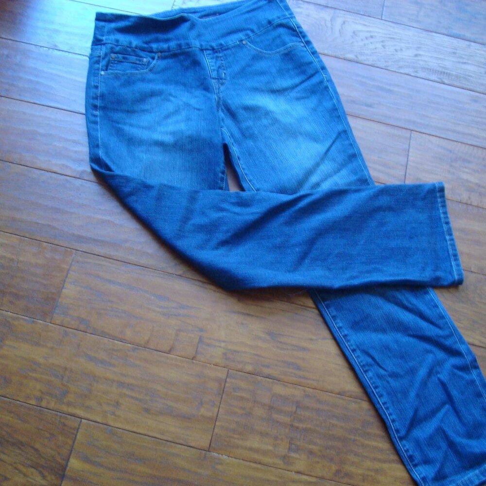 JAG Jeans Pull On Stretch Straight Leg High Raise Size 8P